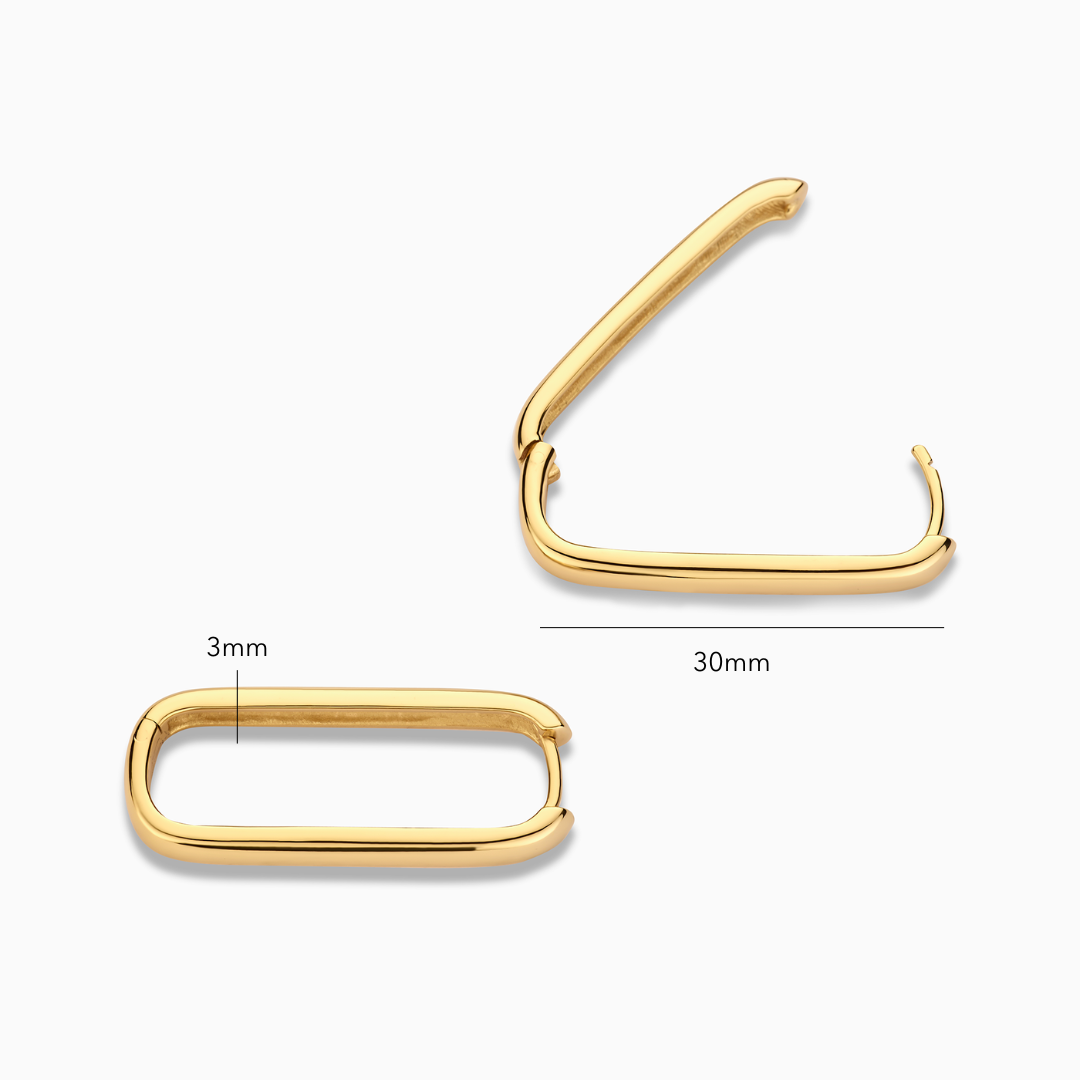 Boucles d'oreilles cercle Icon | Or